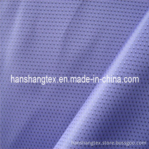 Polyester Dobby Lining Fabric for Down Jacket (HS-L1009)